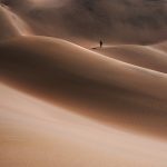 El universo ‘Dune’ se expande: la segunda parte asalta el digital mientras Chalamet anticipa un oscuro desenlace